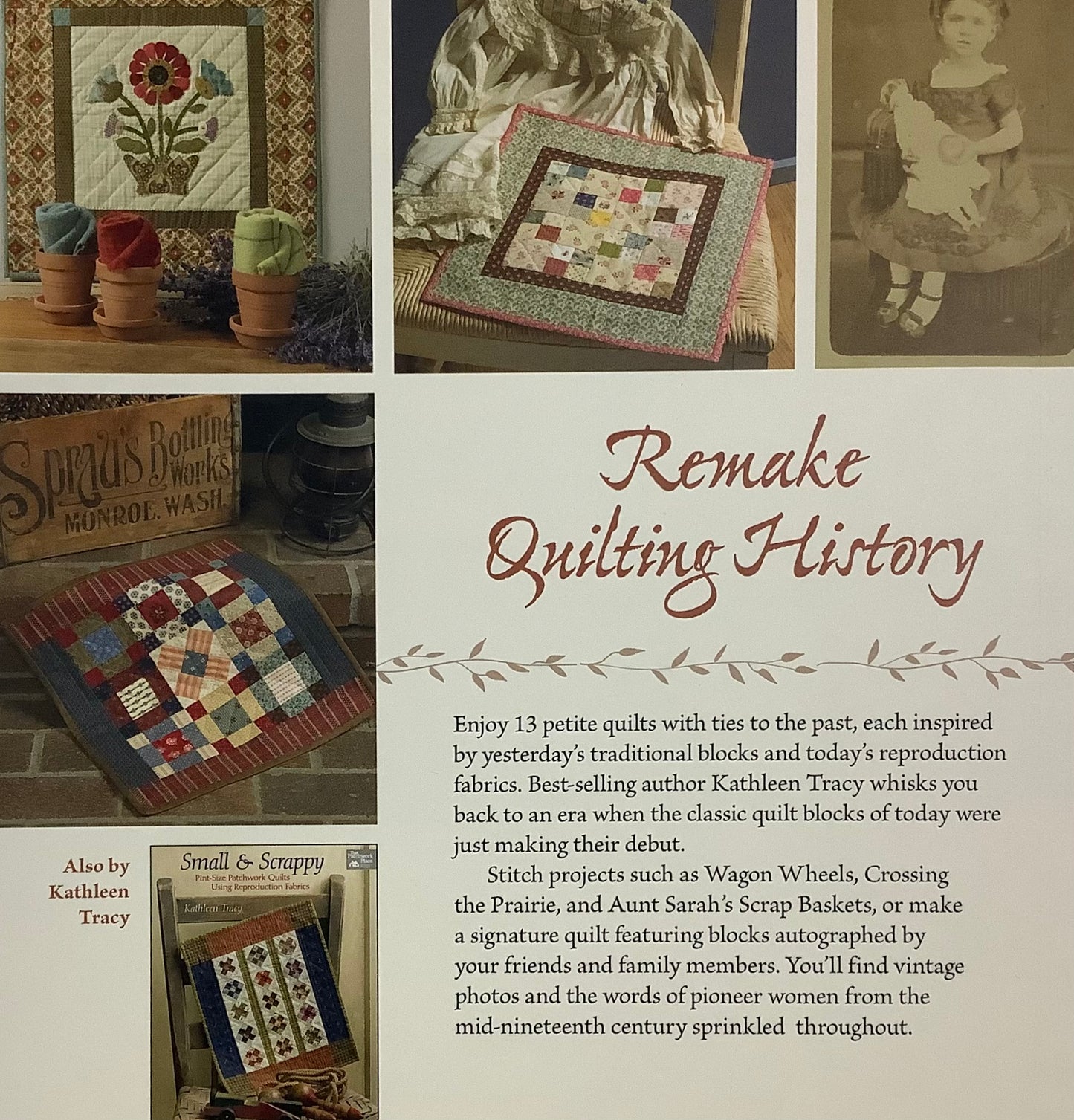 A Prairie Journey  -  by Kathleen Tracy